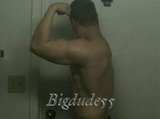 Bigdude55