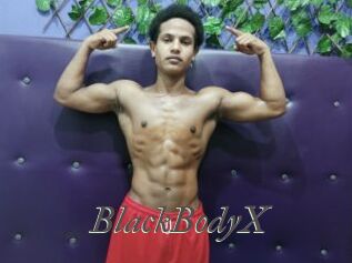 BlackBodyX