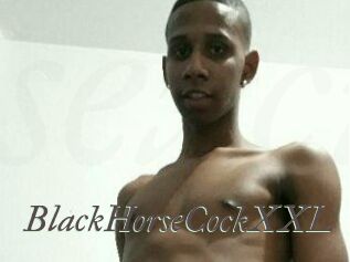 BlackHorseCockXXL