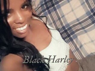 Black_Harley Sexcams city