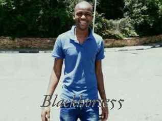 Blackhorse55