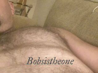 Bobsistheone