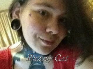 Buzzy_Cat