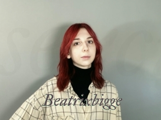 Beatrixbigge