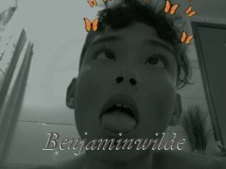 Benjaminwilde