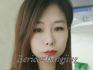 Bericezhangjing