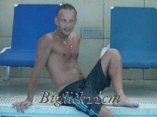 Bigdick22cm