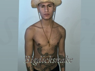 Bigdicksnake