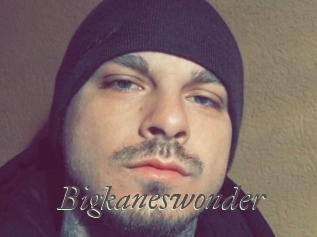 Bigkaneswonder