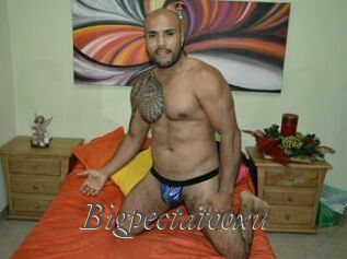 Bigpectatooxu