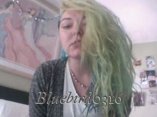 Bluebird0316