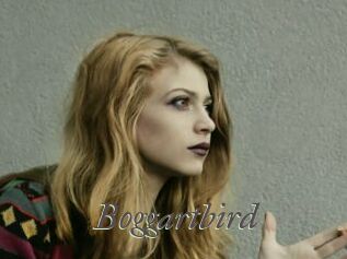Boggartbird