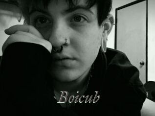 Boicub