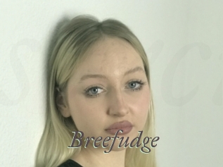 Breefudge