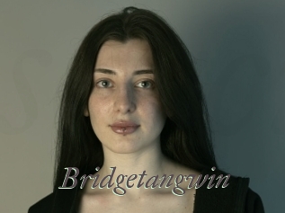 Bridgetangwin