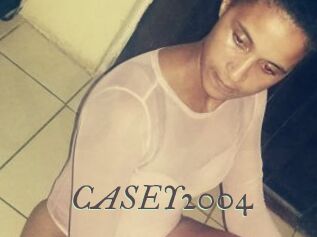 CASEY2004
