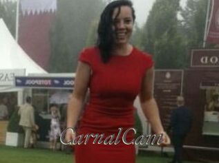 CarnalCam