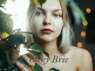 Casey_Brie
