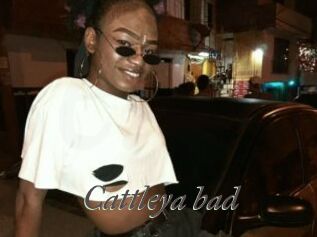Cattleya_bad