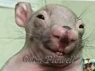 Colon_Plowell