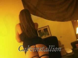 Calvinstallion