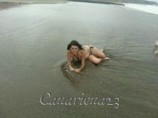 Canariona23