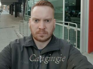 Cangingie