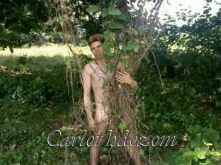 carlot_hdozom Sexcams city