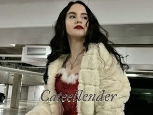 Cateellender