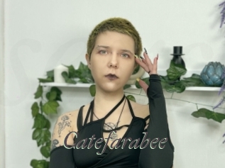 Catefarabee