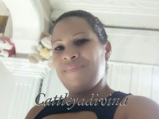 Cattleyadivina