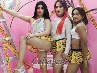 celiapein Sexcams city