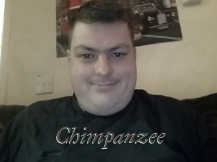 Chimpanzee