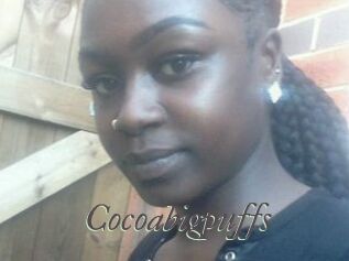 Cocoabigpuffs