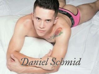 Daniel_Schmid