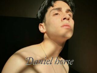 Daniel_horse