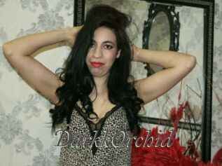 DarkkOrchid