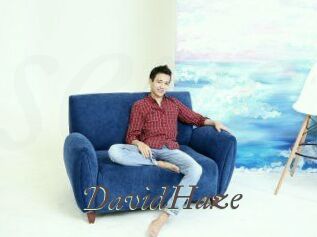 David_Haze