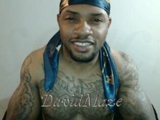 David_Maze