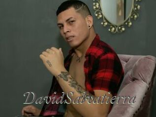 DavidSalvatierra