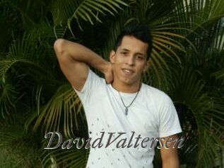 DavidValtersen