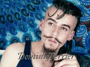 DominicTerrier