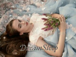 DreamSleep