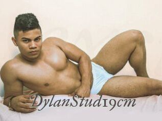 DylanStud19cm