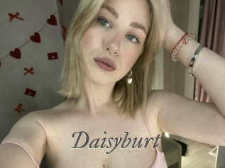Daisyburt