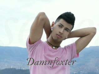 Damnfoxter