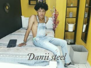 Danii_steel