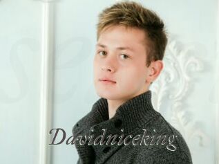 Davidniceking