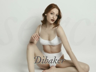 Dibaker
