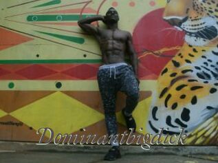 Dominantbigdick